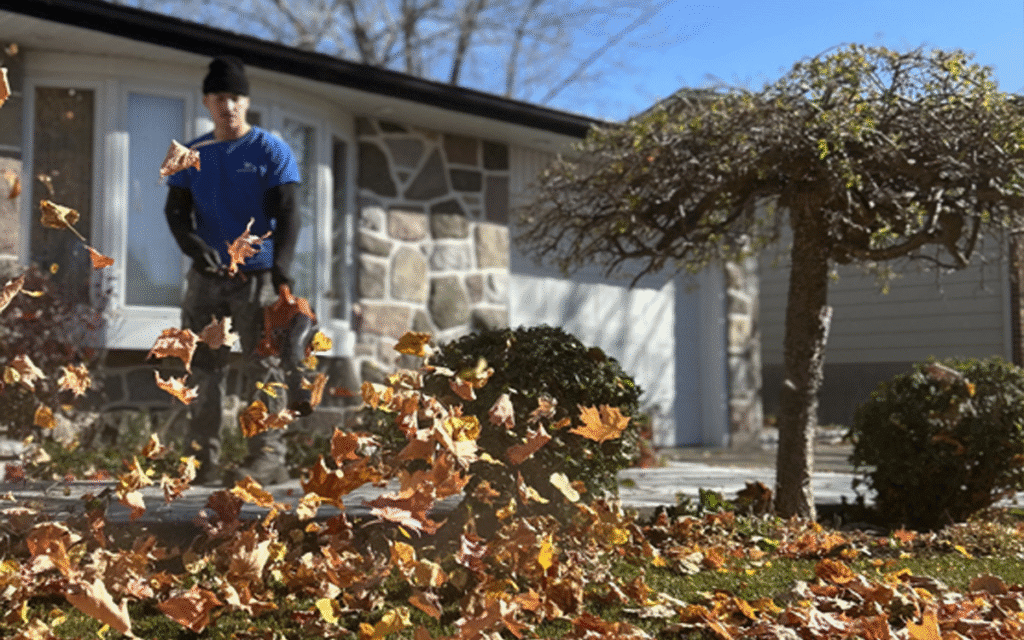 Nettoyage de Printemps et d’Automne