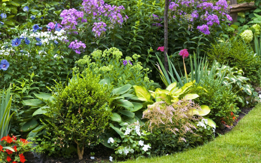 Entretien des plates-bandes